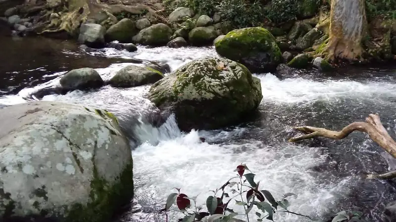 Río Trianón 